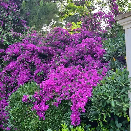 Il Giardino Incantato Holiday home